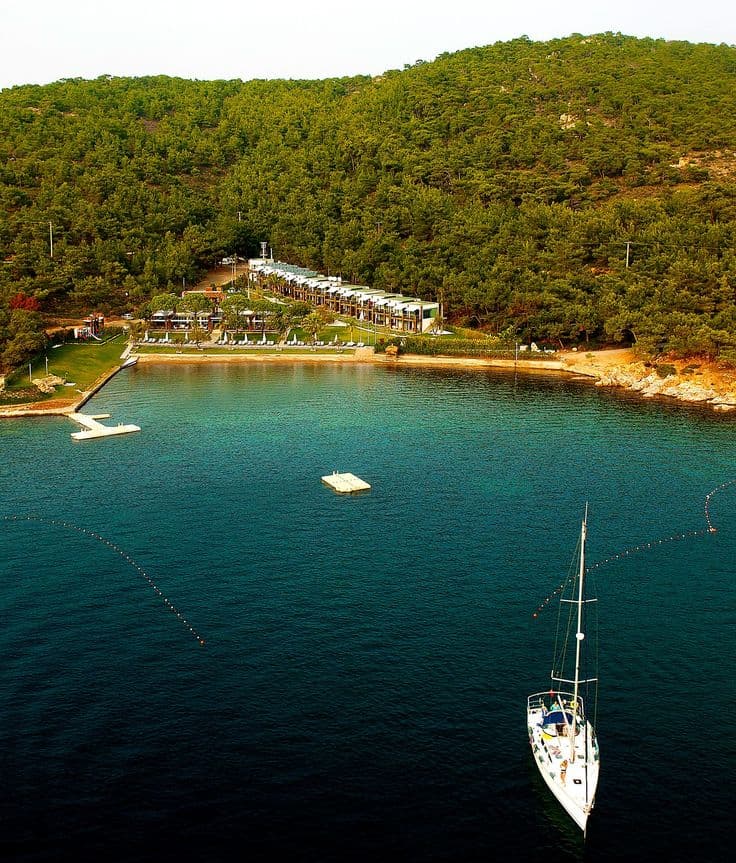 Ortunç Koyu - 3
